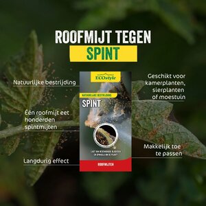Ecostyle roofmijt tegen spint 20 m² - afbeelding 2