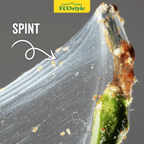 Ecostyle roofmijt tegen spint 20 m² - afbeelding 3