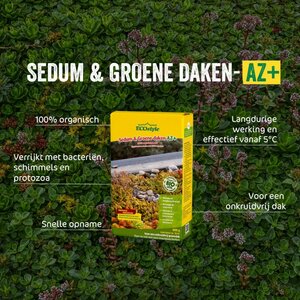 Ecostyle Sedum & groene daken-az 1.6 kg - afbeelding 2