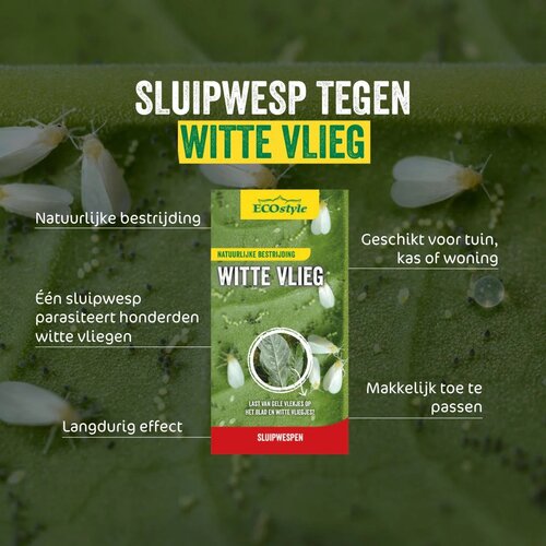 Ecostyle Sluipwesp tegen larven witte vlieg 10 m² - afbeelding 2
