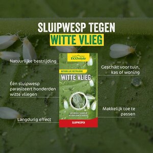 Ecostyle Sluipwesp tegen larven witte vlieg 10 m² - afbeelding 2