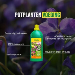 ECOstyle terras & balkon voeding 1000 ml - afbeelding 2