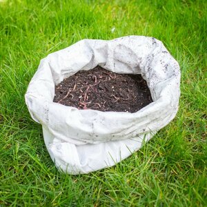 Ecostyle verse wormenmix compostering 1 kg - afbeelding 3