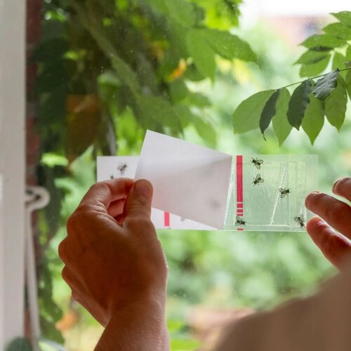 Ecostyle vliegensticker - afbeelding 3