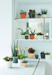 Elho brussels round mini 7 cm white - afbeelding 2