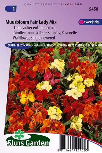 Erysimum Cheiri zaden Fair Lady Muurbloem