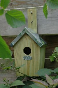 Esschert Design Nestkast / vogelhuisje groen - afbeelding 2