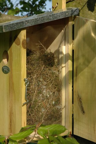 Esschert Design Observatie nestkast - afbeelding 3