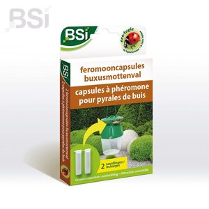 BSI feromooncaps buxusmottenval navulling