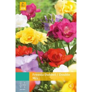 Freesia dubbel mix