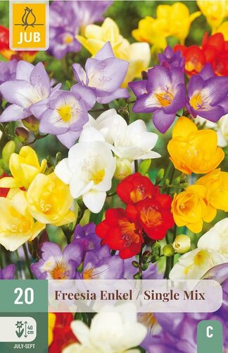 Freesia enkel mix 20 bollen