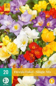 Freesia enkel mix 20 bollen