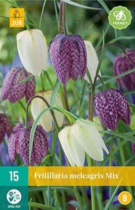 Fritillaria meleagris mix 15 bollen - afbeelding 1