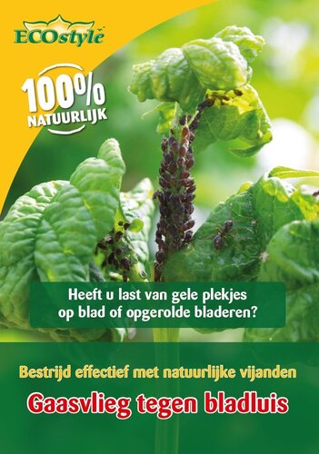 Ecostyle gaasvlieg tegen bladluis