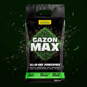 Ecostyle gazon max 10 kg voor 200 m²