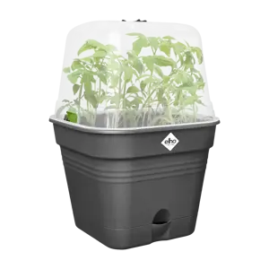Elho green basics growpot square all-in-1 living black 25 - afbeelding 3