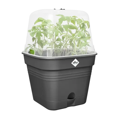 Elho green basics growpot square all-in-1 living black 30 - afbeelding 3