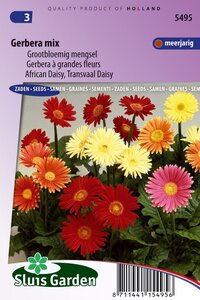 Gerbera Jamesonii zaden Choice mix bestellen