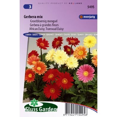 Gerbera Jamesonii zaden Choice mix