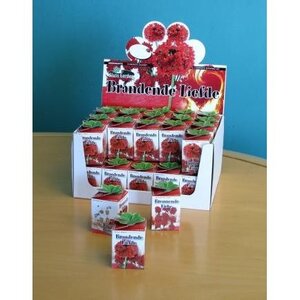 Greengift Brandende Liefde in showdoos