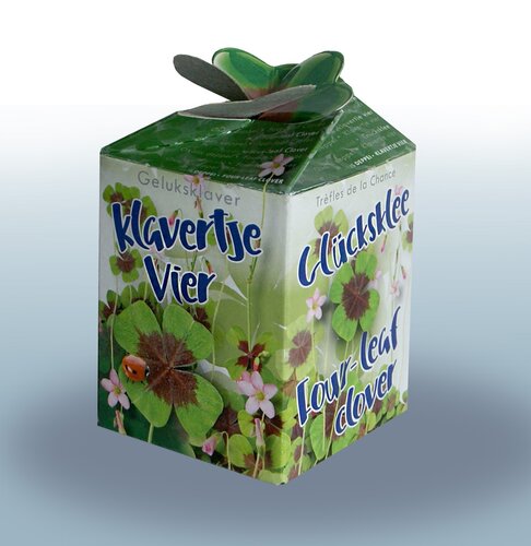 Greengift Klavertje-vier 