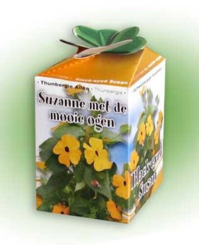 Greengift Suzanne met de mooie ogen