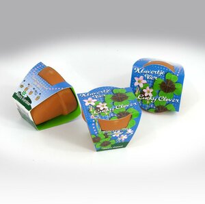 Greengift Terracotta Klavertje 4