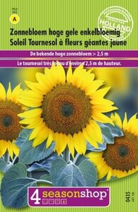 Helianthus Annuus Giganteus zaden Zonnebloem - afbeelding 2