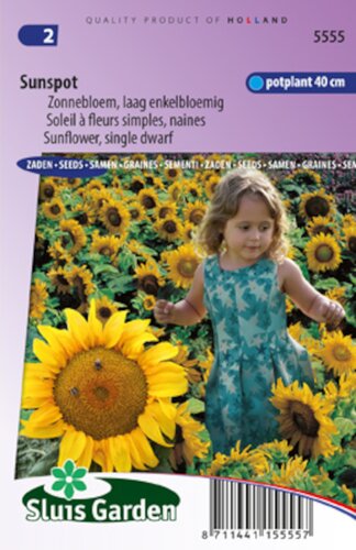 Helianthus Annuus zaden Sunspot zonnebloem