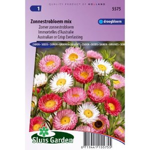 Helipterum Roseum zaden Zomer Zonnestrobloem