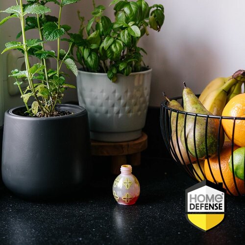 Home defense fruitvliegjesval - afbeelding 2