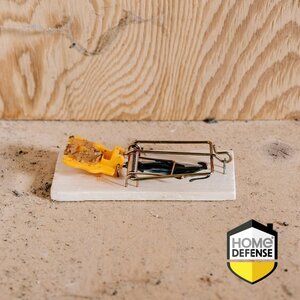 Home defense muizenval hout 2 stuks - afbeelding 2
