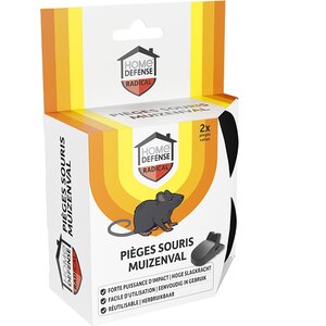 Home defense muizenval kunststof 2 stuks