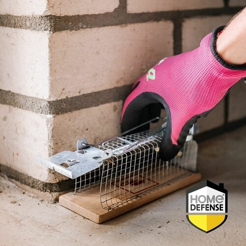Home defense muizenvangkooi hout - afbeelding 2