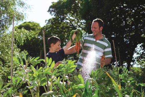 Hozelock multi spray plus - afbeelding 2