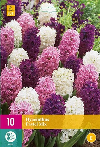 Hyacint pastel mix 10 bollen