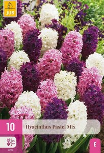 Hyacint pastel mix 10 bollen