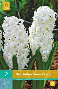 Hyacint Snow Crystal 2 stuks