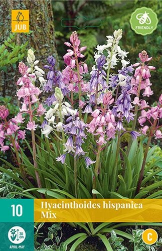 Hyacinthoides hispanica mix 10 bollen