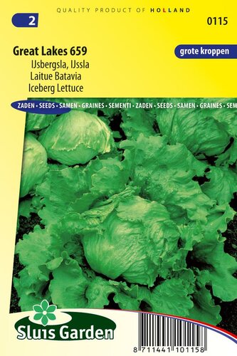IJsbergsla zaden Great Lakes 659