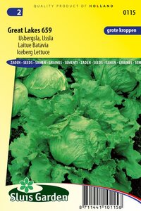 IJsbergsla zaden Great Lakes 659