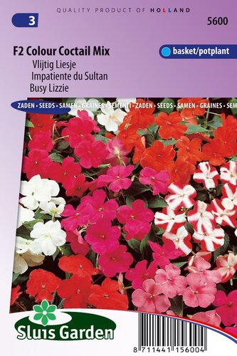 Impatiens zaden Colour Cocktail F2 Vlijtig Liesje