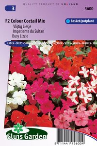 Impatiens zaden Colour Cocktail F2 Vlijtig Liesje