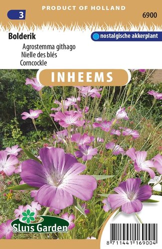 Inheemse Agrostemma githago Bolderik zaden