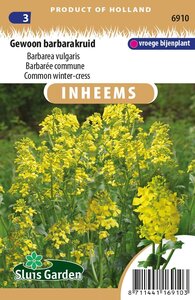Inheemse Barbarea vulgaris Barbarakruid zaden