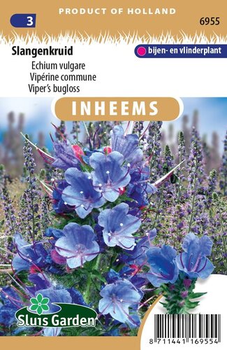 Inheemse Echium vulgare Slangenkruid zaden
