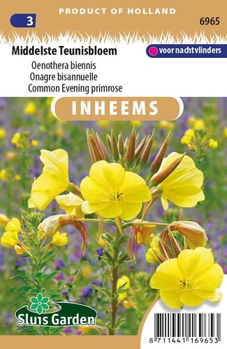 Inheemse Oenothera biennis Middelste Teunisbloem zaden