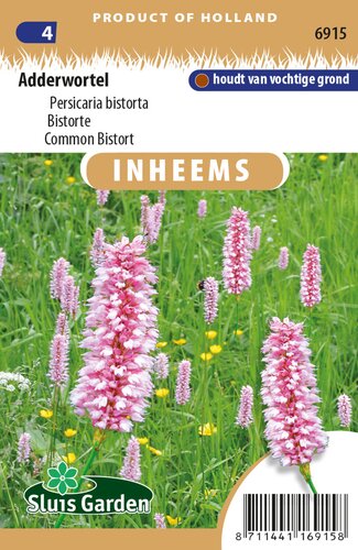 Inheemse Persicaria bistorta Adderwortel zaden