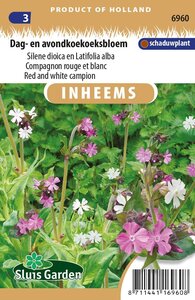 Inheemse Silene dioica en latifolia Dag- en avondkoekoeksbloem zaden