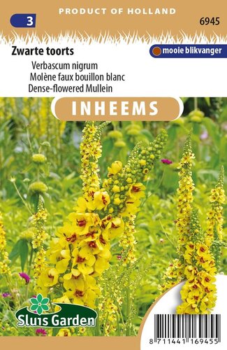 Inheemse Verbascum nigrum Zwarte Toorts zaden